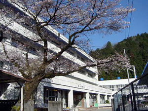 金山小学校 下呂市教育研究所